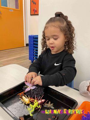 The Learning Experience - Chelmsford