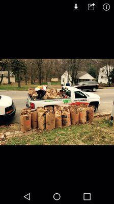 Great Lawn & Leaf removal maintenance packages