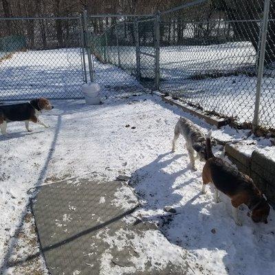 Three new friends met at The Playyard.