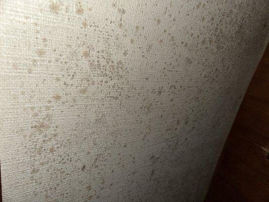 mold in sleeping areas