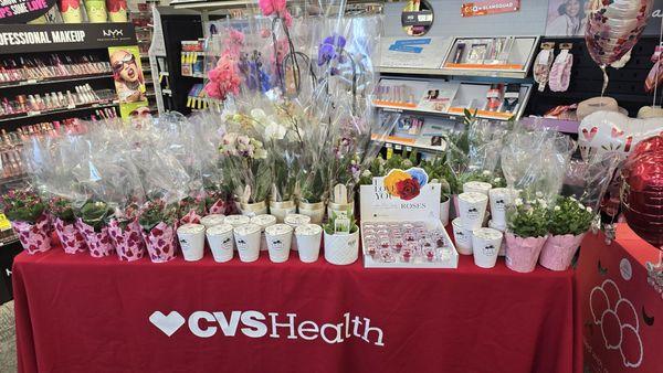CVS Pharmacy, 1800 E Highway 50, Clermont, FL 34711, US - MapQuest