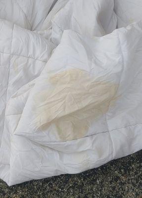 Mini-Storage Of Lake City