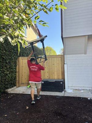 They came on short notice and worked so hard. Very strong, moved quickly but were careful and didn't hit any walls. I was very pleased.