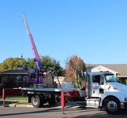 Sterling Landscaping