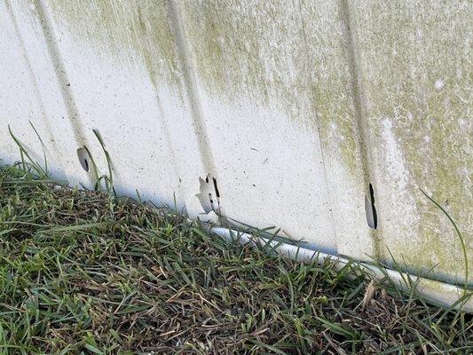 Blue Heron Landscape