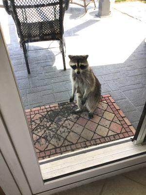 First Choice Home Inspections