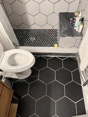 New tile floor, shower, and toilet