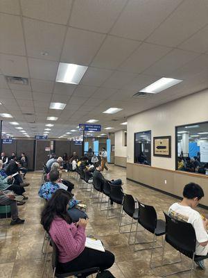 Texas Department of Public Safety