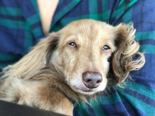 Victor maxin relaxing on sitter Jisell's arms during one very cold morning