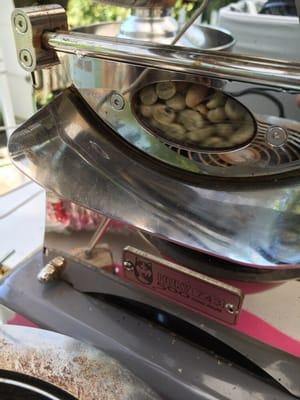 Green beans turning brown... All is right in the world!