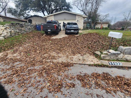 Perfect leaves cleanup