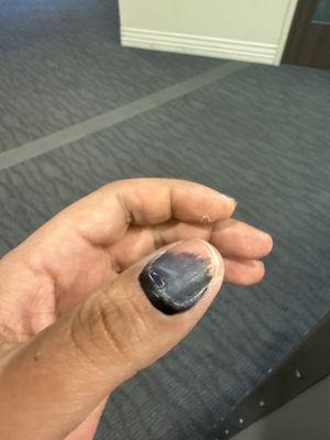 Heart and Vascular Institute: Adventist Health Glendale