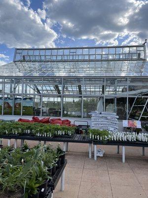 Plants for Sale @ Verrill Farm in Concord MA.