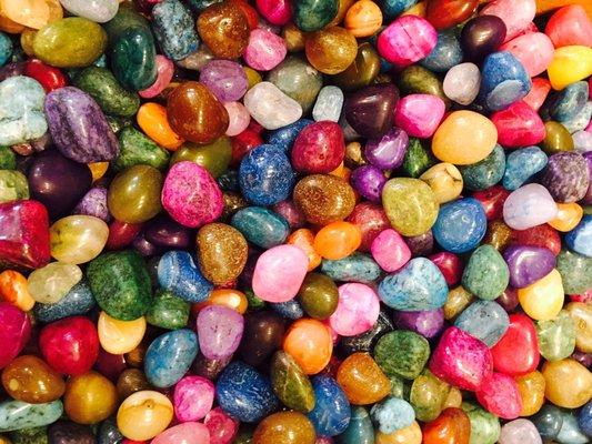 Best Family-Friendly Activities in Burlington