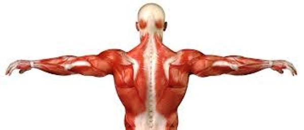 C & M Palomino Tax Center