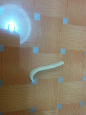 Rubber band in the food.