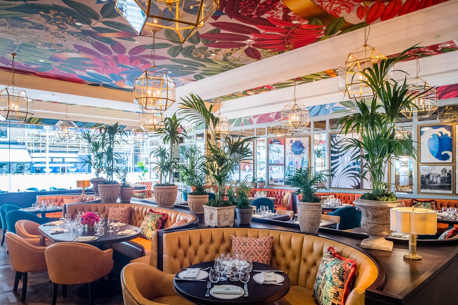 The Ivy Dublin 13 17 Dawson Street Dublin Dublin D02 TF98 IE MapQuest The Ivy Dublin 13 17 Dawson Street Dublin Dublin D02 TF98 IE MapQuest