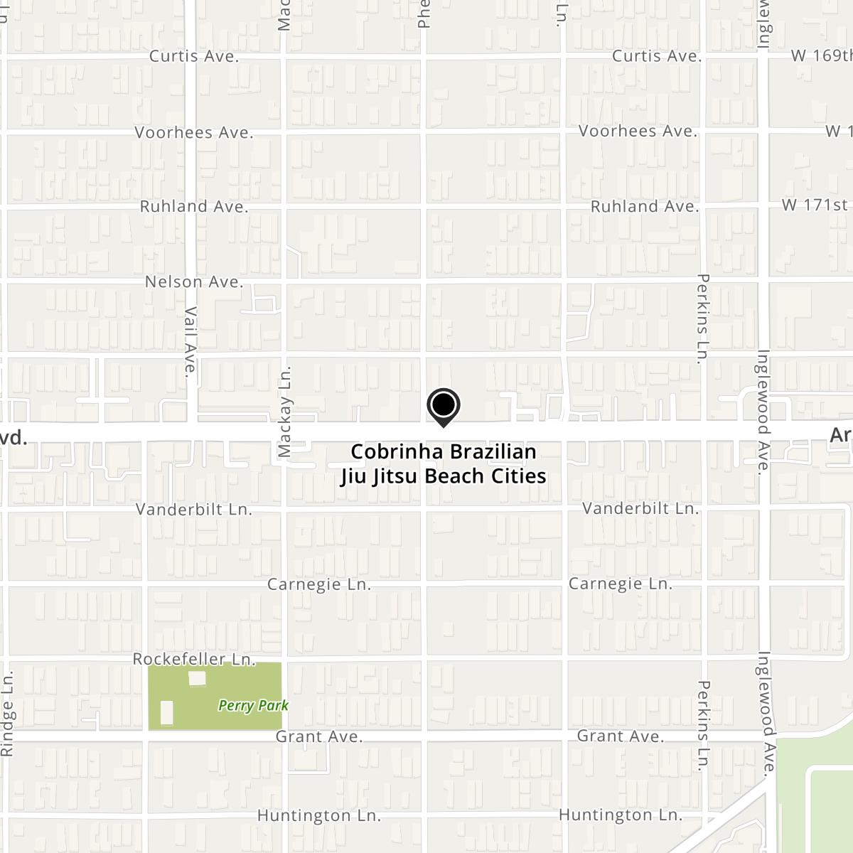 Cobrinha Brazilian Jiu Jitsu Beach Cities in Redondo Beach
