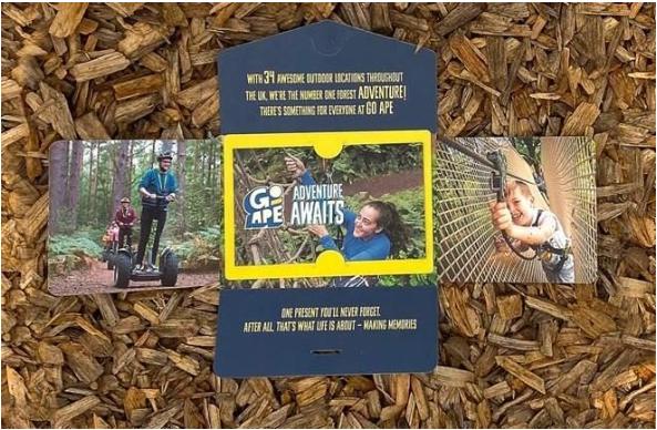 Go Ape Mallards Pike, Forest of Dean