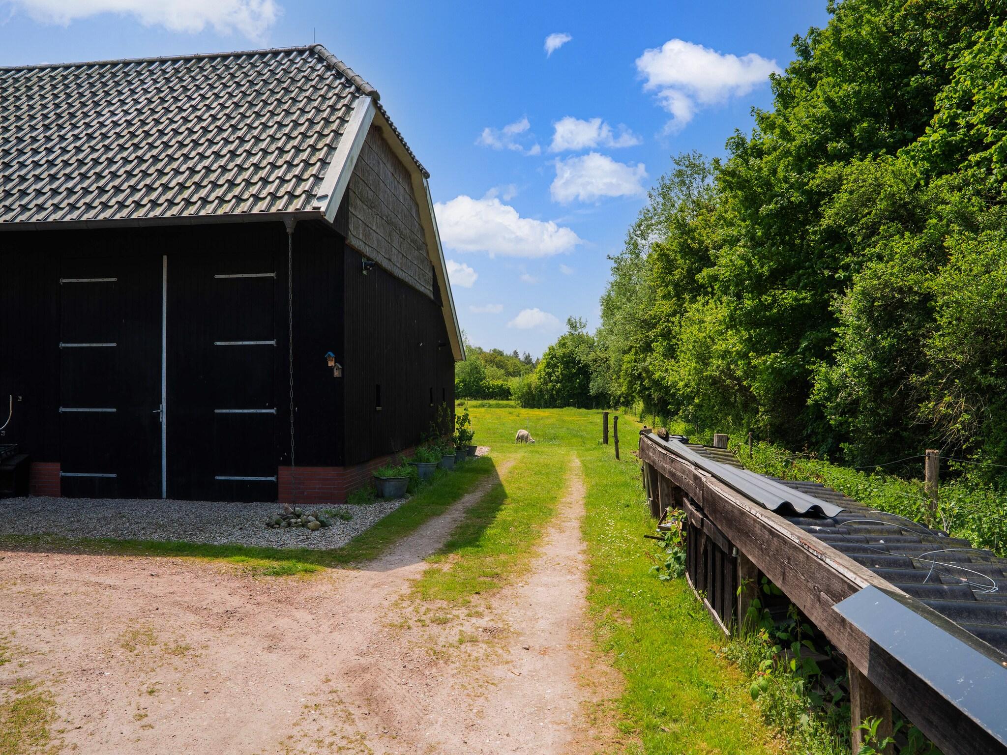 Heerlijke Cottage in nationaal park Dwingelderveld - Belvilla by Oyo