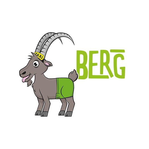 Berg Taxi Schladming