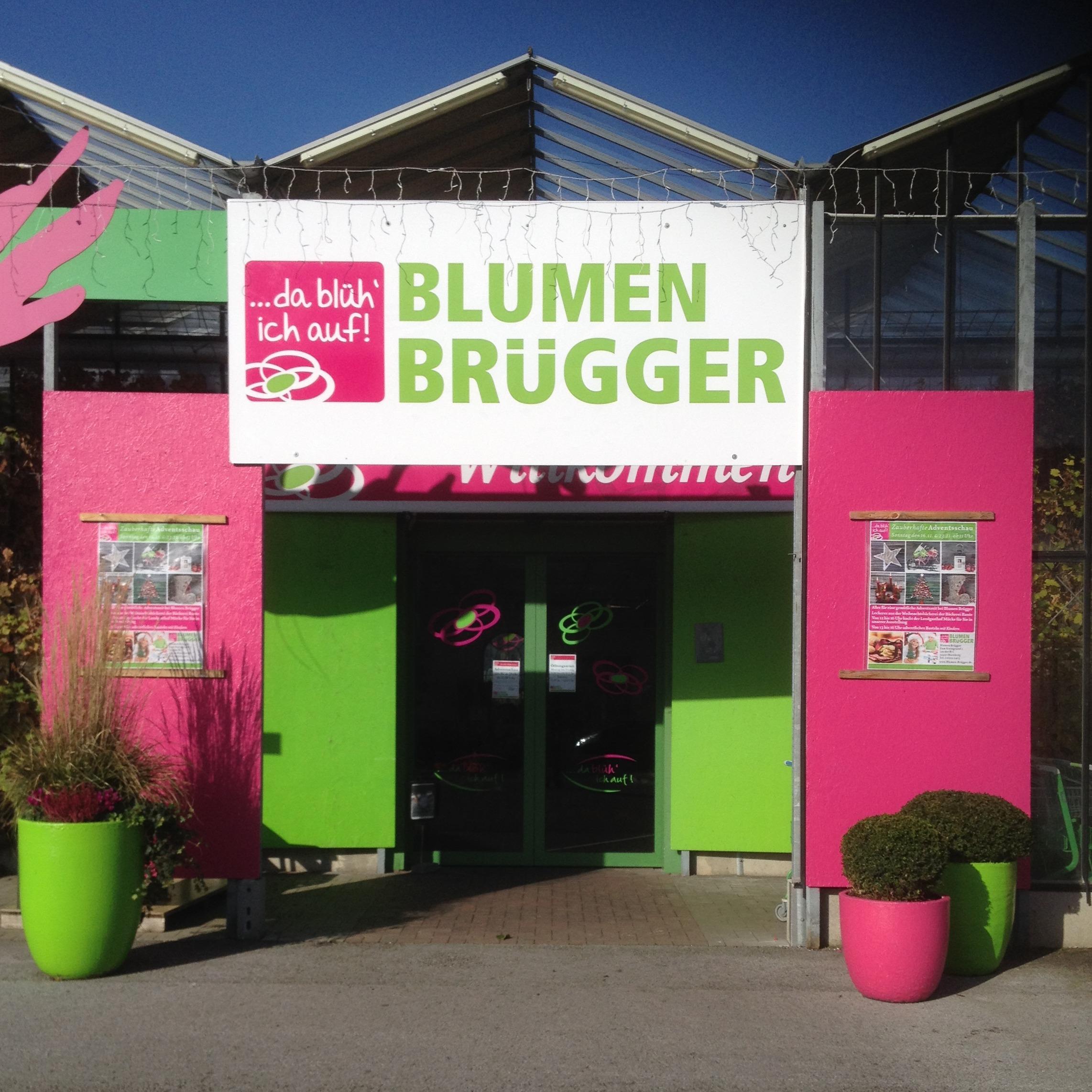 Blumen Brügger