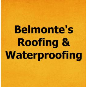 Belmonte's Roofing & Waterproofing