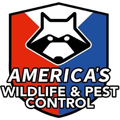 America's Wildlife & Pest Control