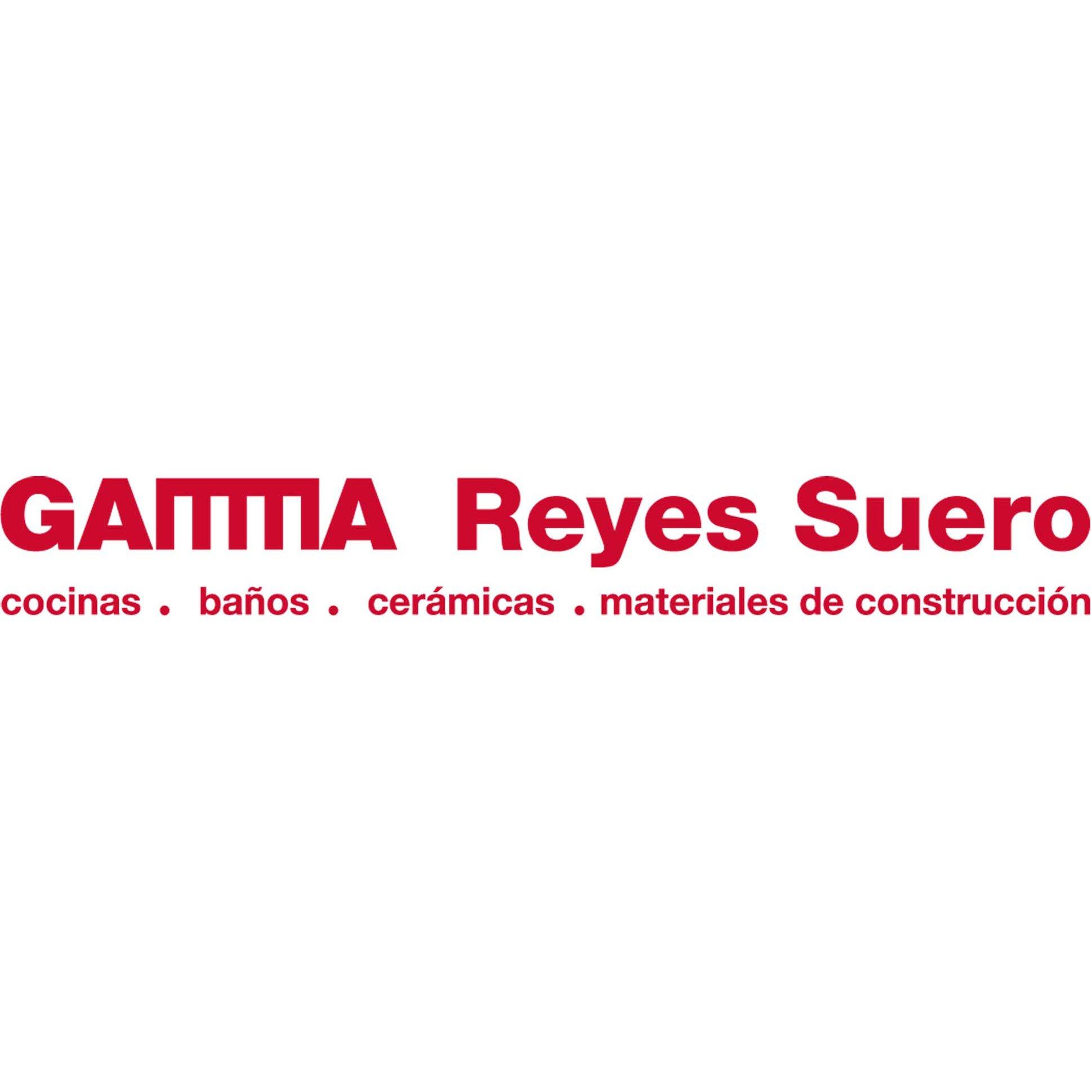 Reyes Suero - Grupo Gamma