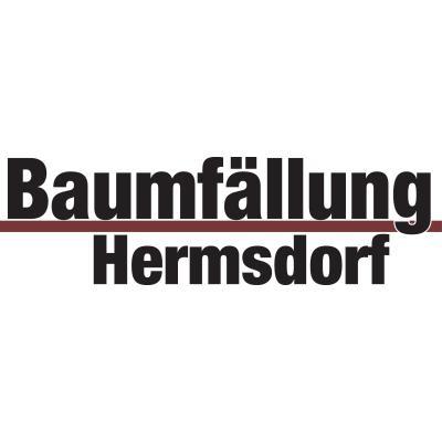 Bernhard Hermsdorf Baumfällungen