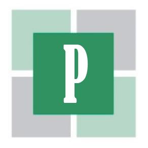 Professional Insurance Services