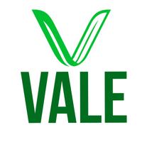 Vale Healthy Kitchen - Delray Beach