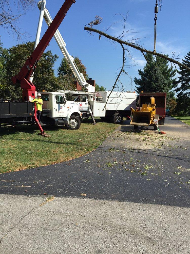 Acme Tree Service