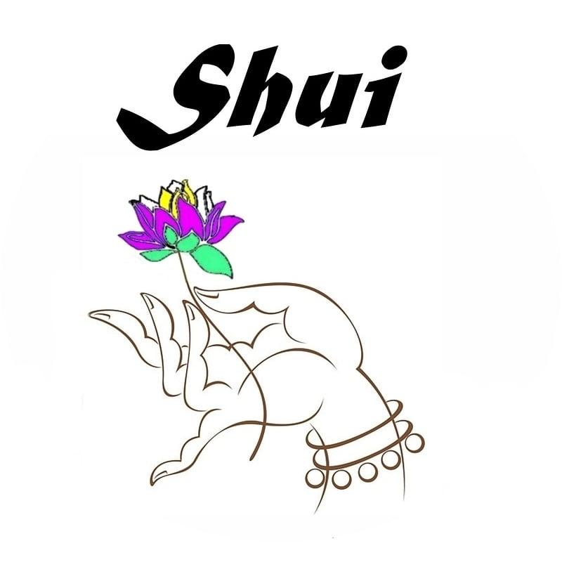 Shui Centro de Acupuntura y Terapias Naturales
