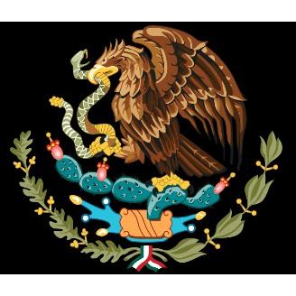 Mexico Lock & Key & Door Repair