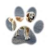 Prairie Creek Groomers