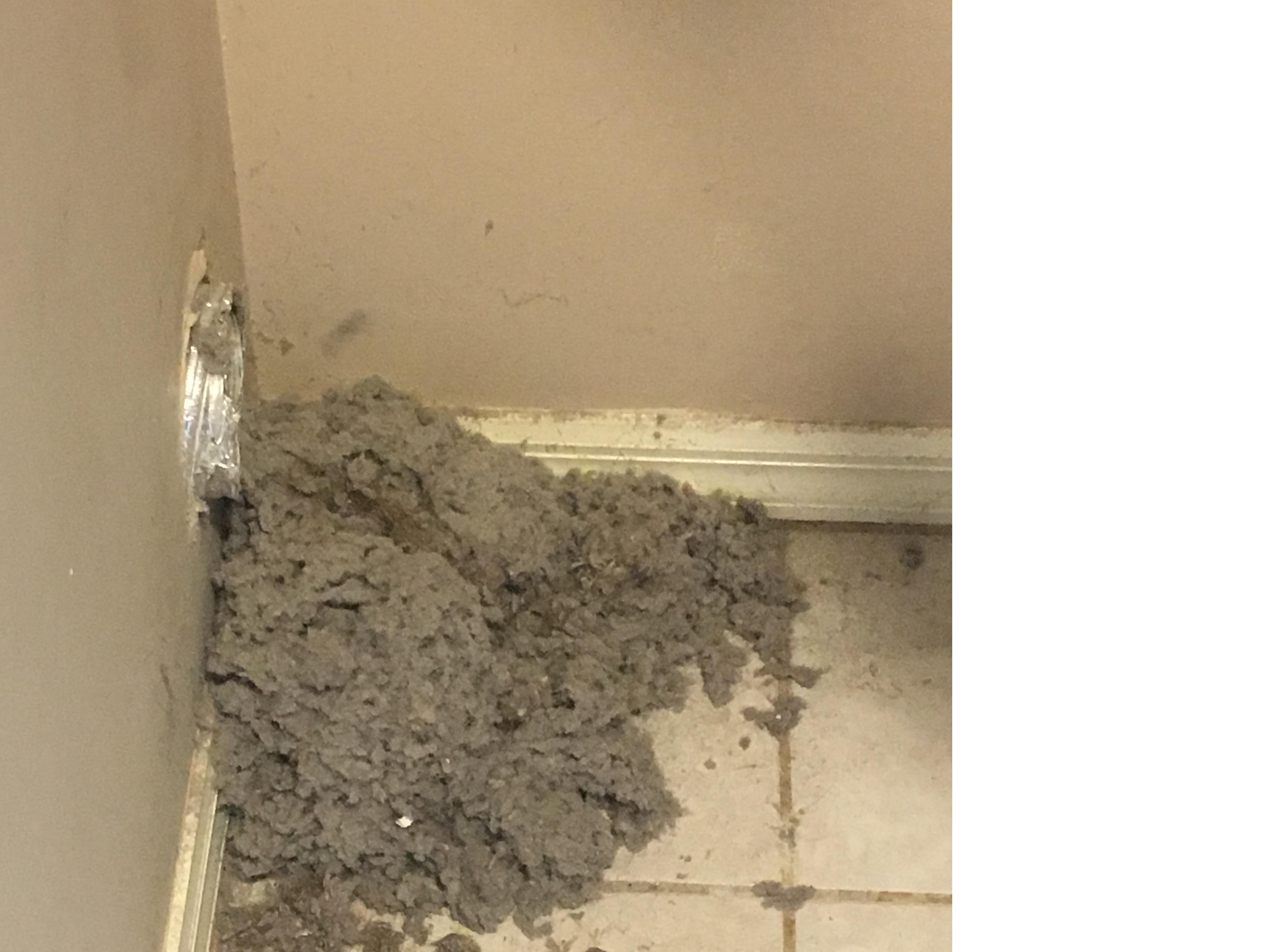 Dave's Dryer Vent Fireplace Service, Inc.