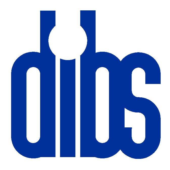 Digital Information Business Solutions, Inc.