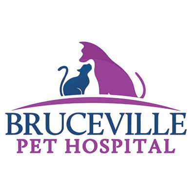Bruceville Pet Hospital