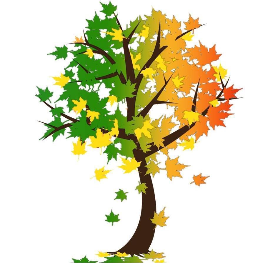 SPRINGFALL LANDSCAPE & MAINTENANCE