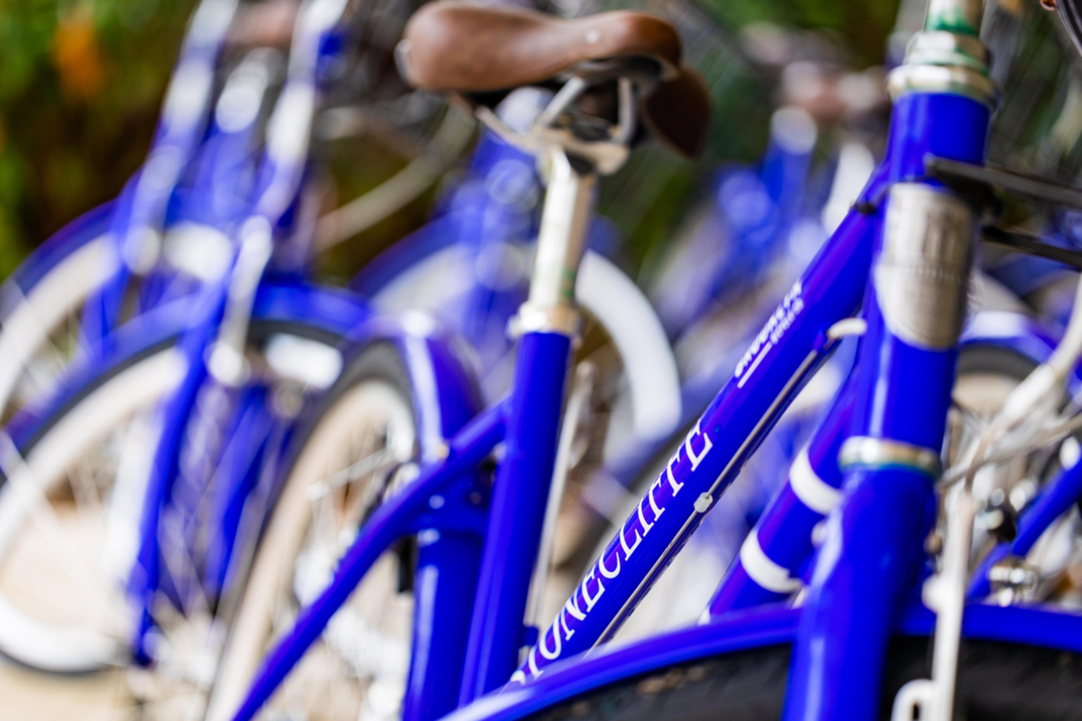 The Inn At Stonecliffe