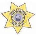 Safety And Security Services Inc
