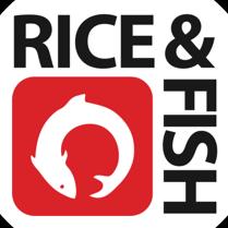 Rice and Fish