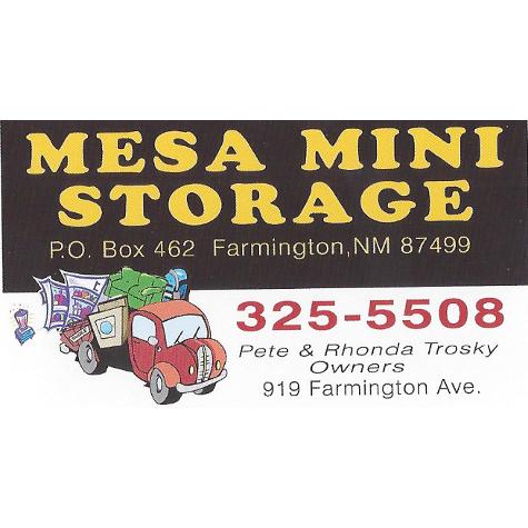 Mesa Mini Storage