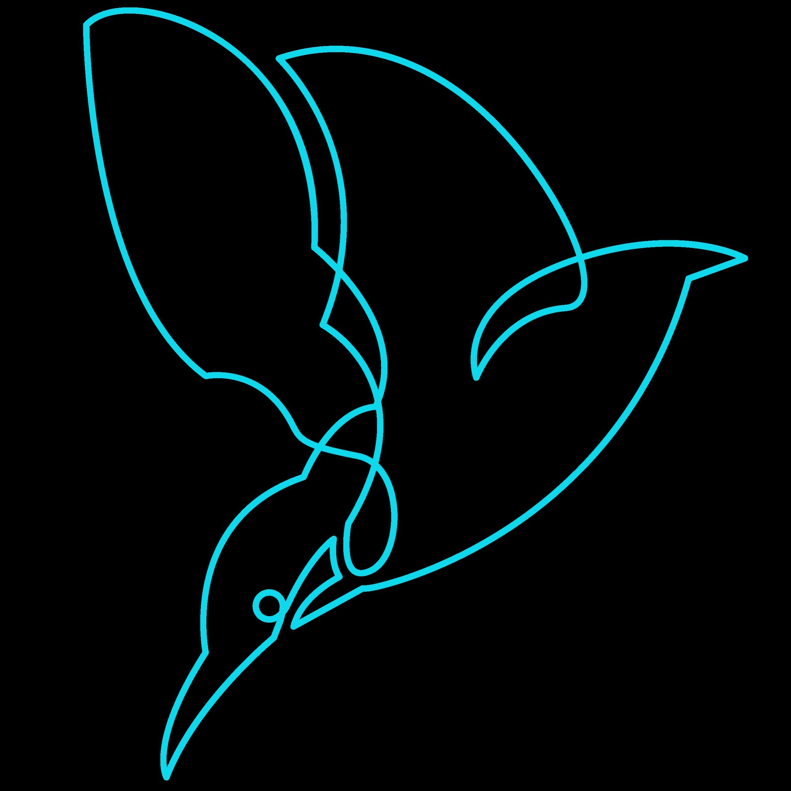 Kingfisher Professional Services Ltd