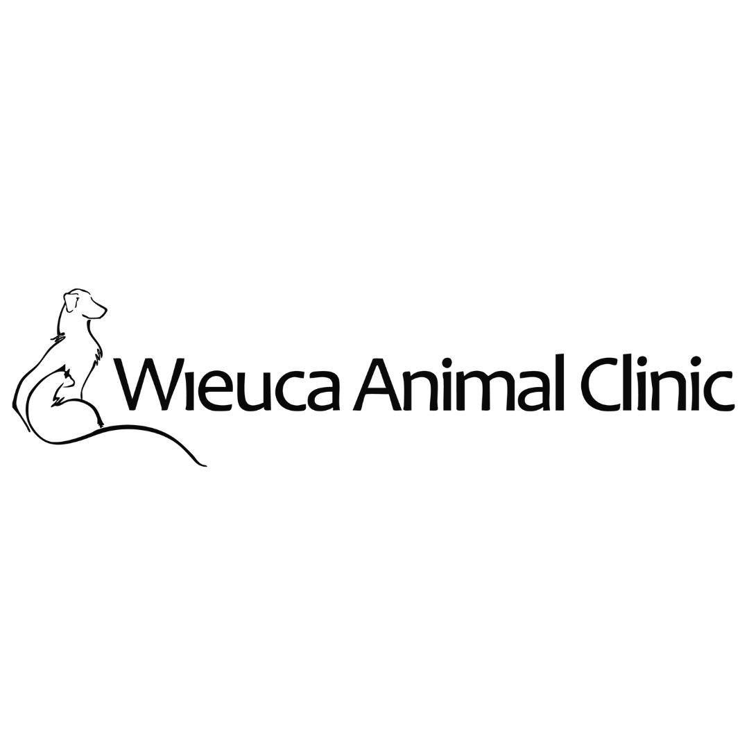Wieuca Animal Clinic