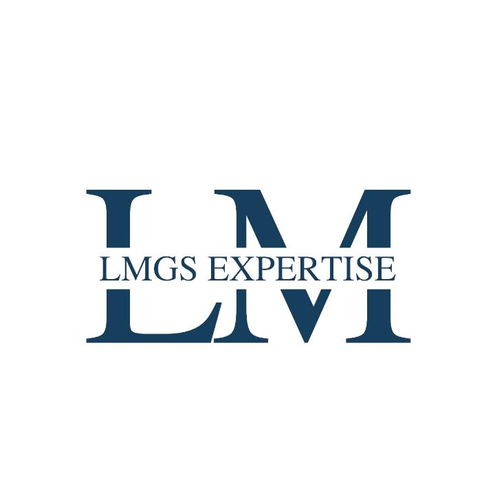 LMGS-EXPERTISE