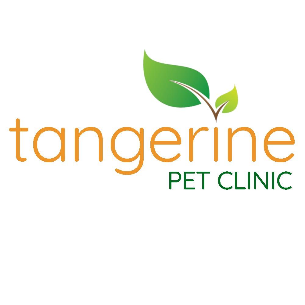 Tangerine Pet Clinic