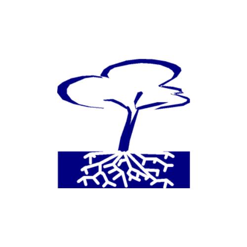 Frayer & Associates CPA PC