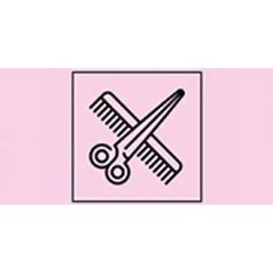 Friseur im Kirschgarten Inh. Carola Stoewing